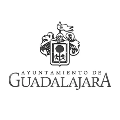 H. Ayuntamiento de Guadalajara