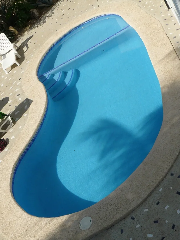 Vista aérea de una piscina residencial de forma libre con escalón de acceso