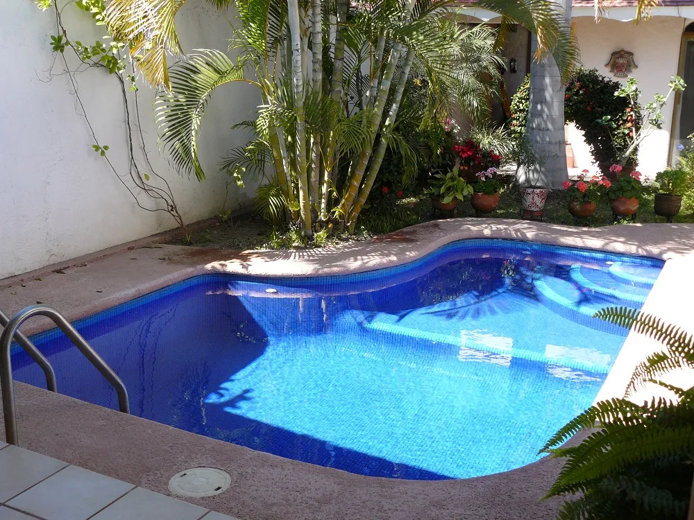 Piscina residencial integrada a un jardín con palmeras y macetas de barro
