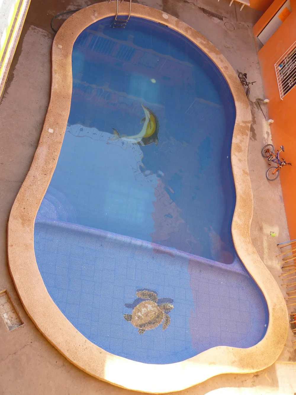 Piscina de forma libre en obra con mosaicos de una tortuga y un pez en el fondo